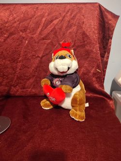 Buc-eesValentines day Beaver
