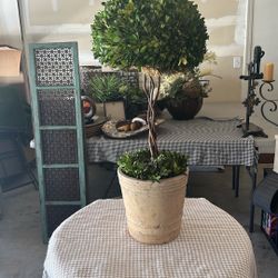 Uttermost Preserved Boxwood - 33 inch Tree Topiary - 14 inches Wide by 14 inches deep