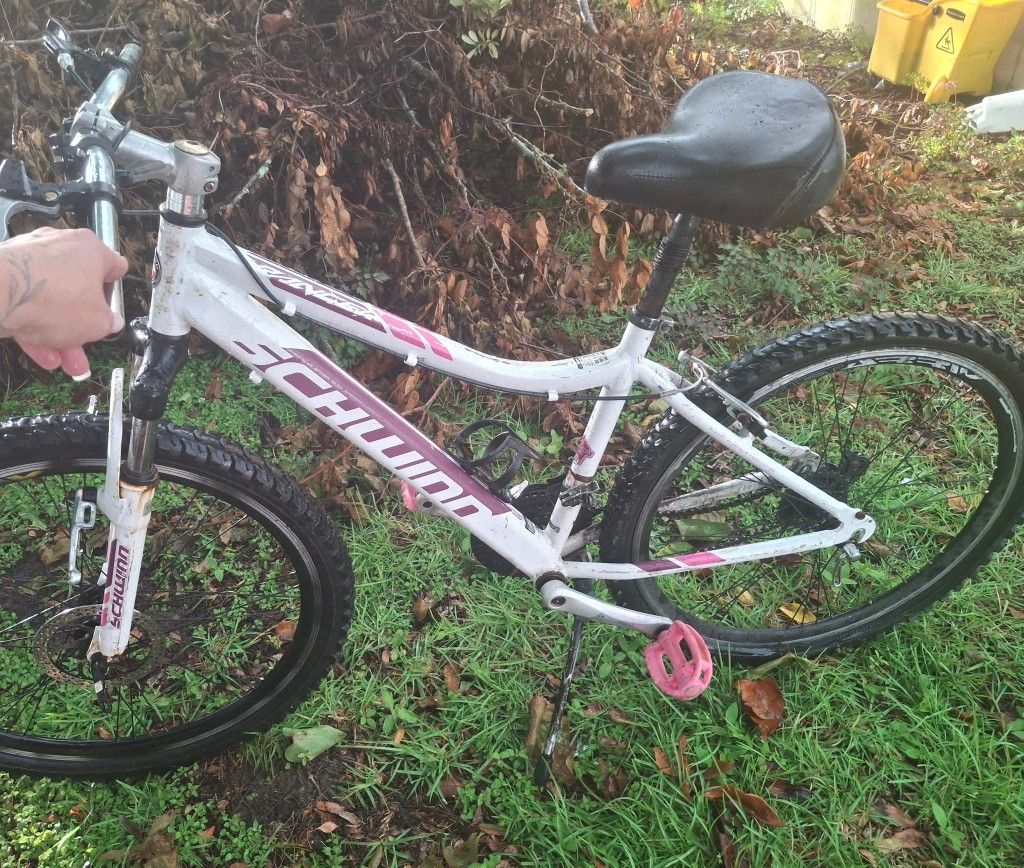 Schwinn Bike