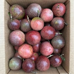 Fresh organic passion fruits