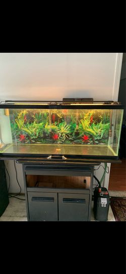 55 Gallon Aquarium Fish Tank