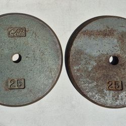 WEIGHTS, 50 POUNDS, (2 @ 25lbs), WEIGHT PLATES, STILL WEIGHS 50LBS