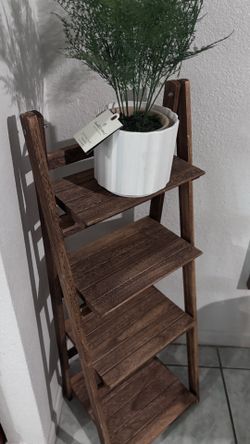 Ladder shelf