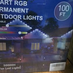 Outdoor Lights