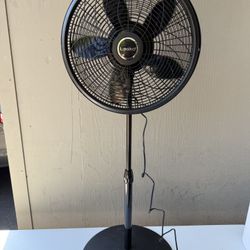 Fan