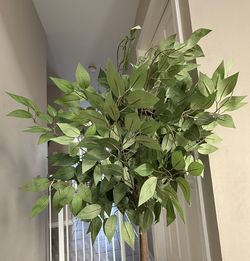 Faux Mini Ficus Tree