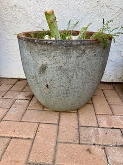 Large Planter Pot
