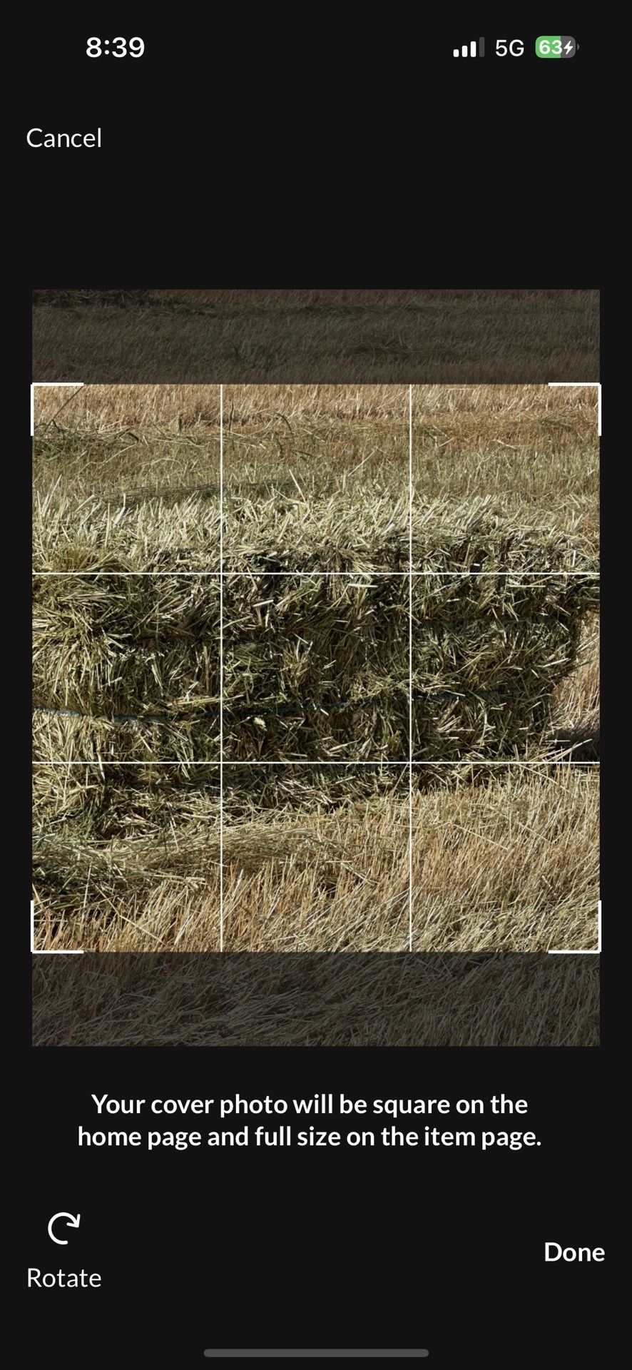 Rye Grass/ Wheat Bales