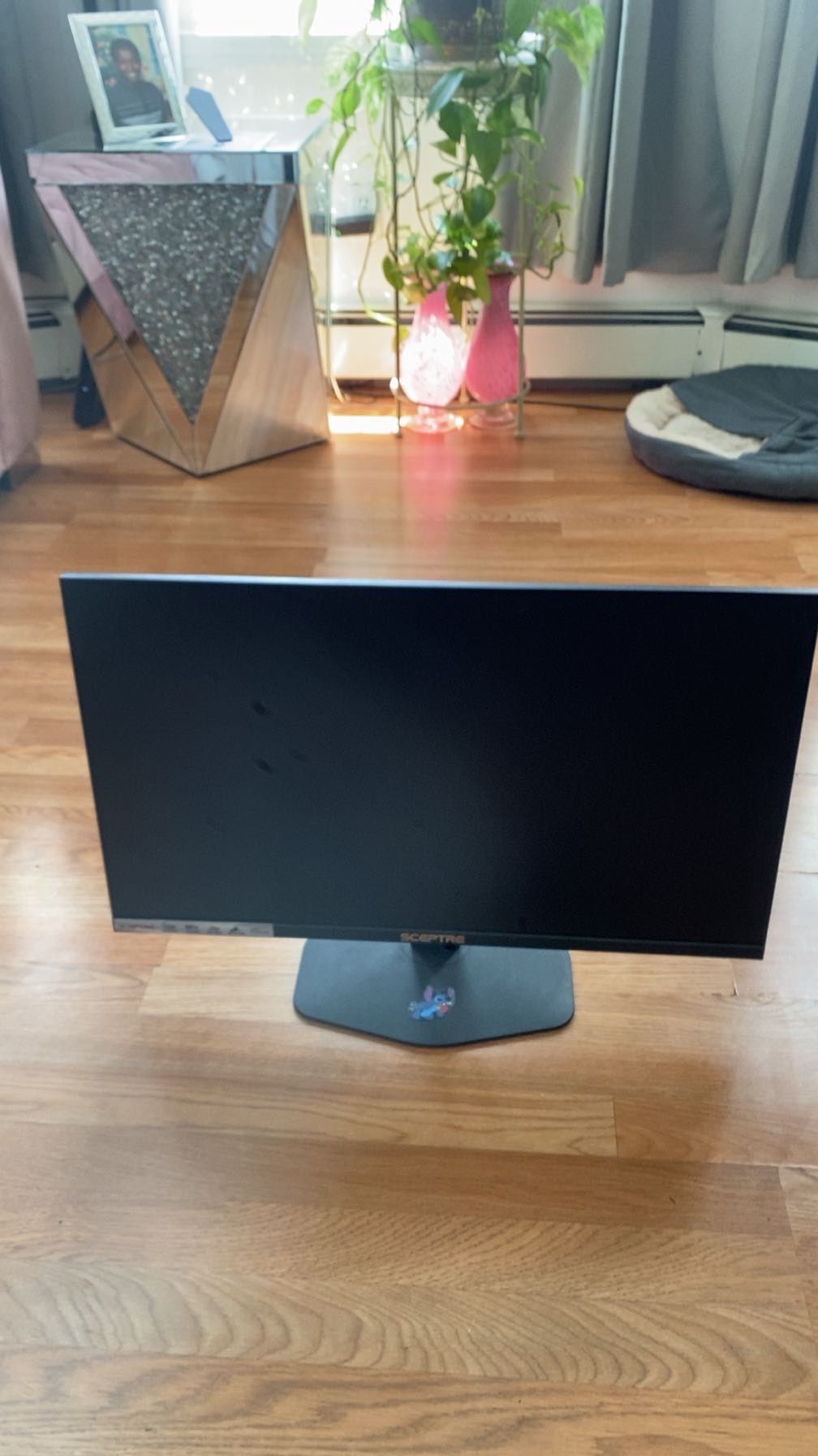 Sceptre Gaming Monitor
