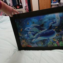 This Picture Is Of Both Sea Animals