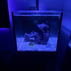 Red Sea Peninsula Max Nano