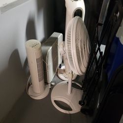 Fans 