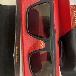 Cartier Polarized Sunglasses Black Lens/Frame