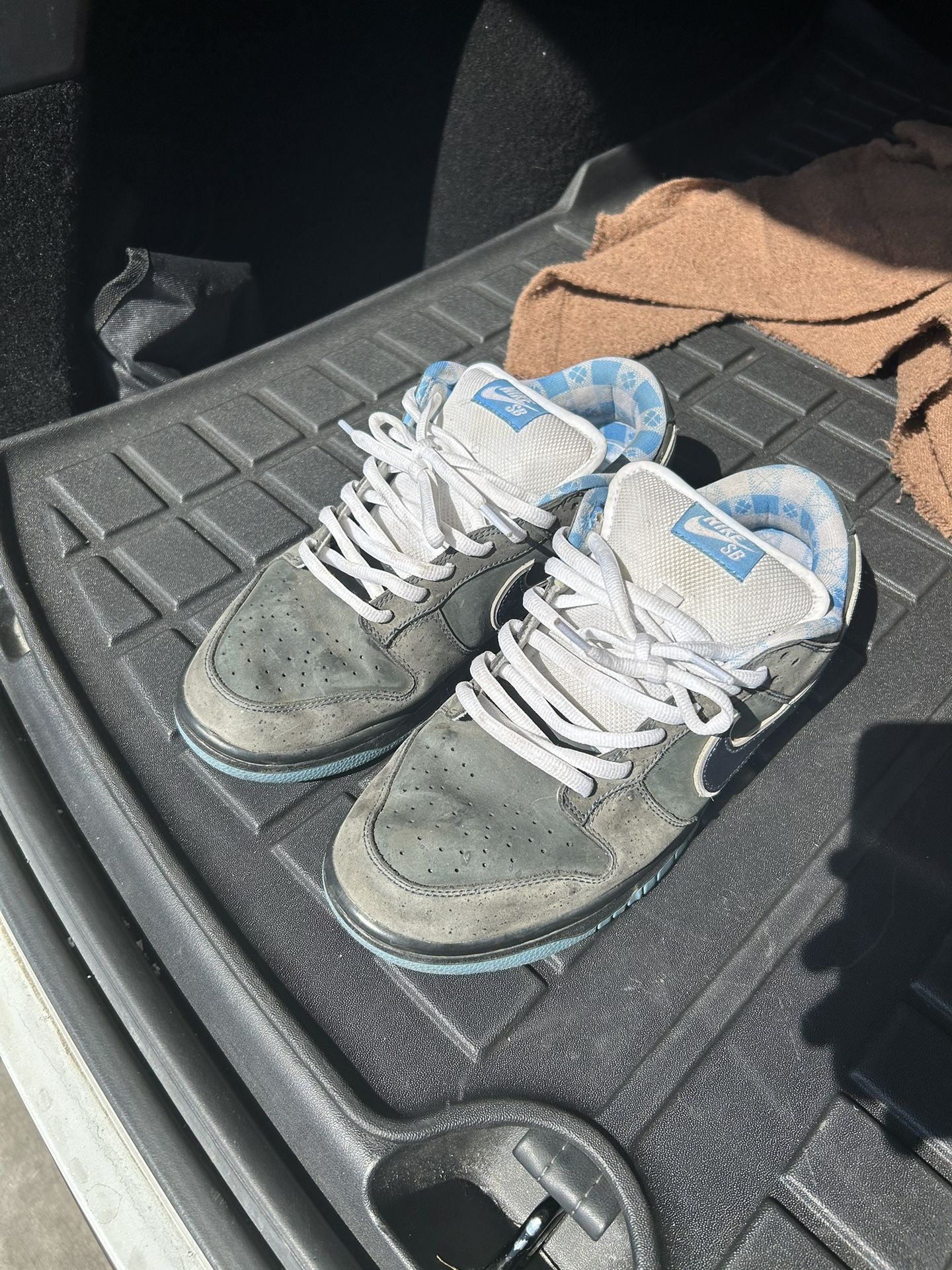 nike dunk sb 