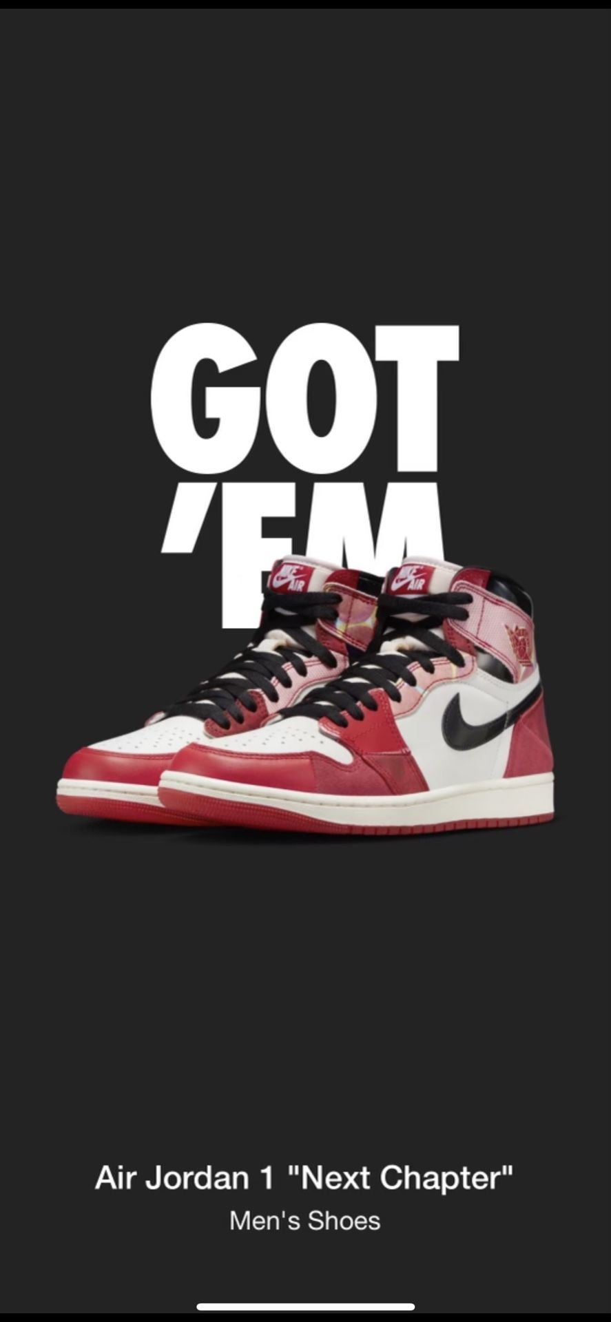 Jordan High Spider Verse The Next Chapter Size Men