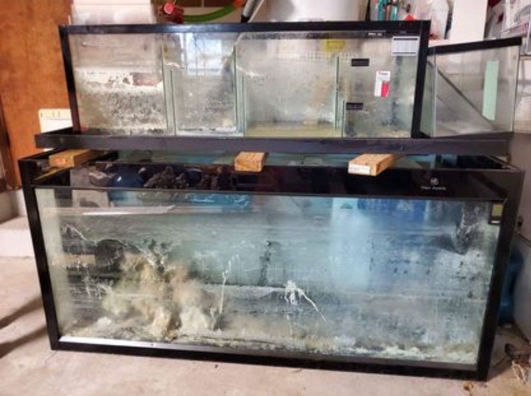 Salt water aquarium fish tank
255 gallons
ALL REASONABLE OFFERS CONSIDERED