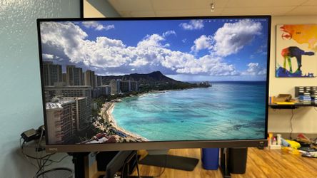 28” 4k IPS monitor with arm