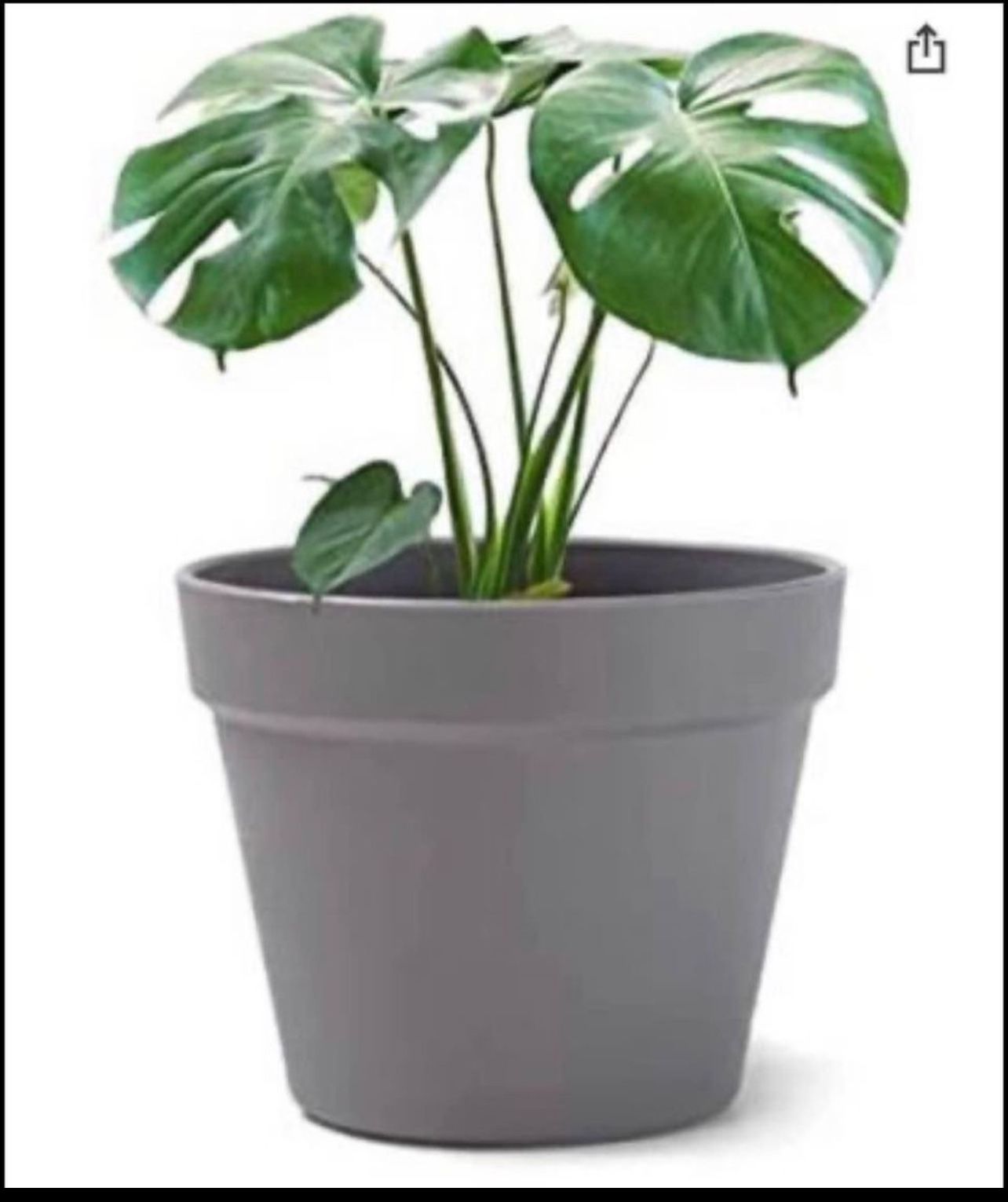 Brandnew Plant Flower Pot, 6 inch Plastic Planter, for Tabletop Plant & Hanging Planter - Pack of 2