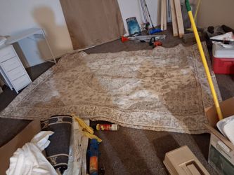 Beautiful rug