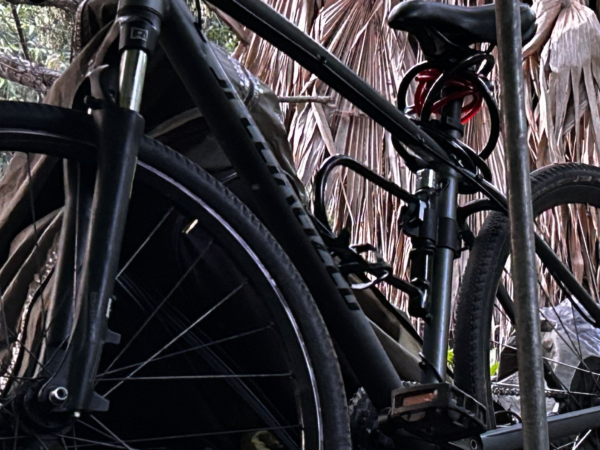 Specialized Crosstrail Bike