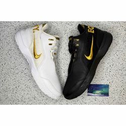 Nike Zoom LeBron NXXT Gen Equity 9.5 Men