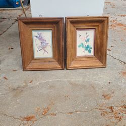 Pair Framed