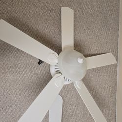Ceiling Fan(s)