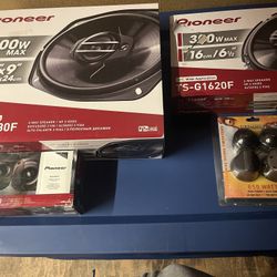 Pioneer Speakers 