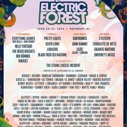 2 Electric Forest Wristbands And Camping Pass