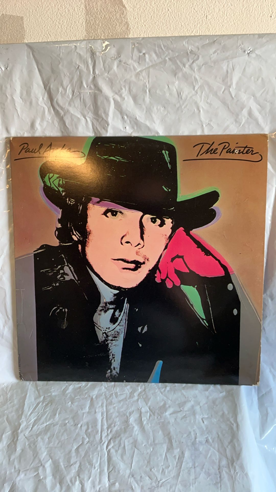 Vinyl Record Like New Paul Anka The Painter