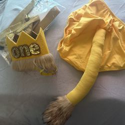 Lion First Birthday Cake Smash Outfit Wild One Birthday Outfit