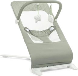 Baby Delight Infant Bouncer Seat Green