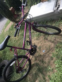 Murray girls bike 24”)(Speed 10