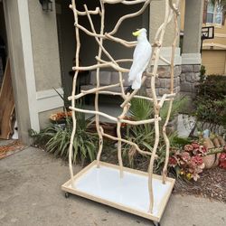 Parrot Jungle - Parrot Structure - Bird Stand