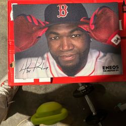 David Ortiz Pic