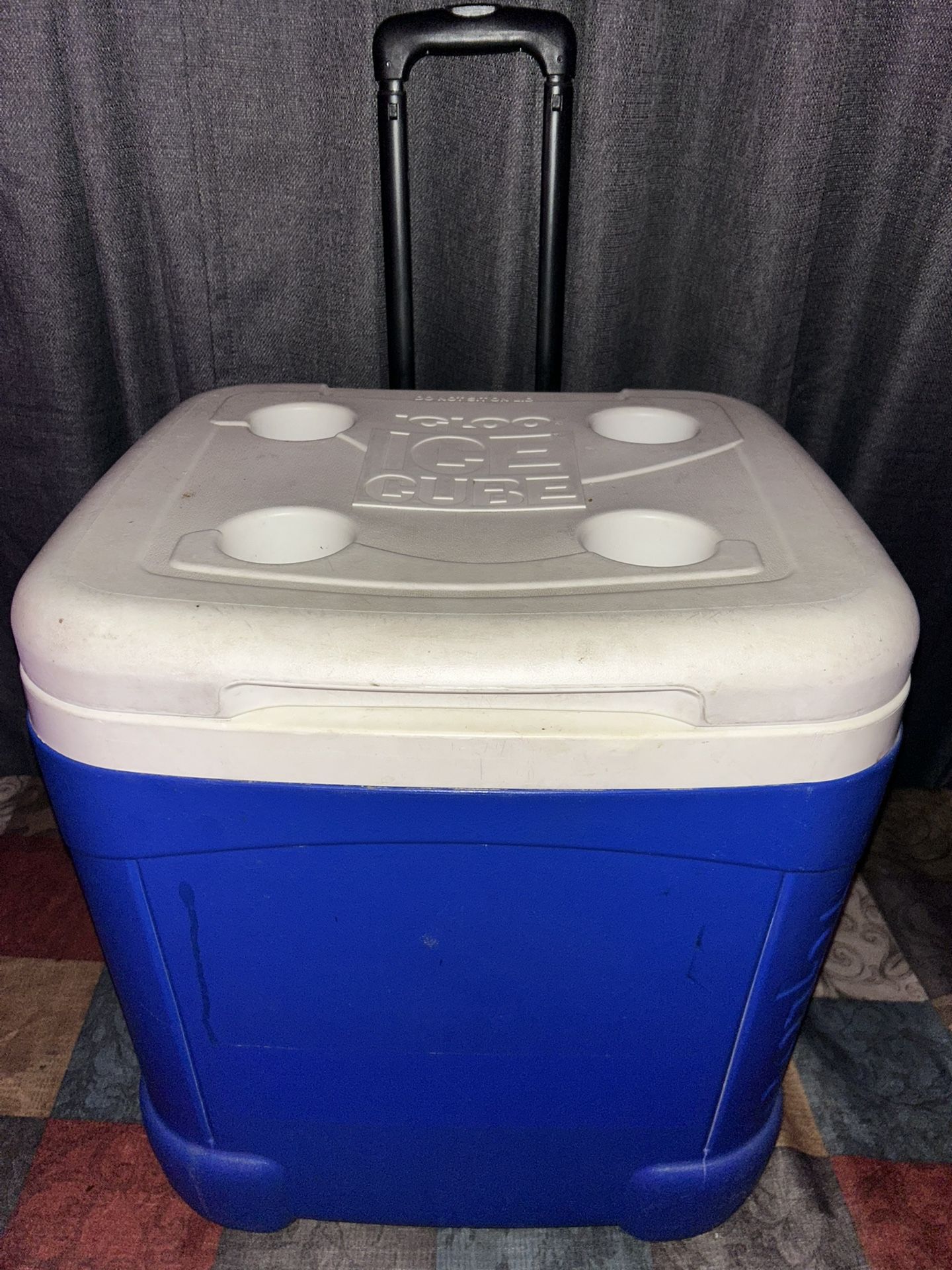 Igloo Cooler