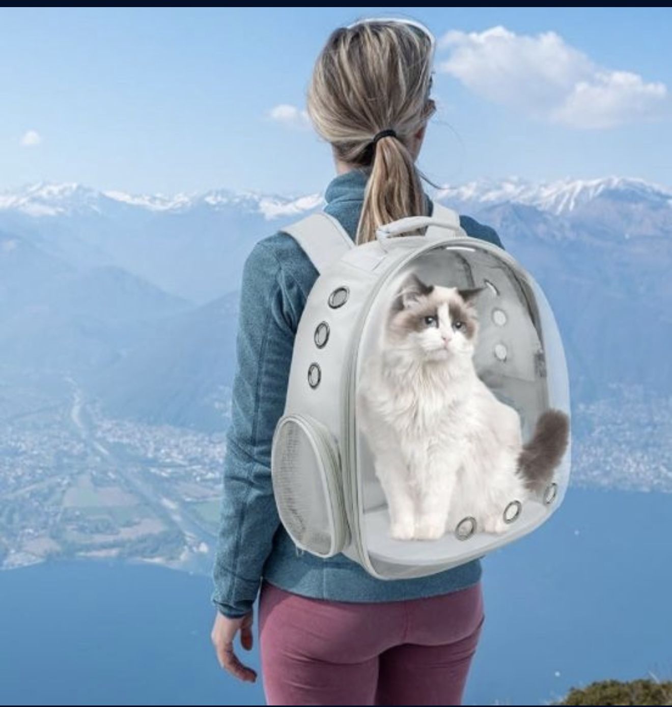 Gray -PetPack Adorable Bubble Carrying Bag for Small, Medium dogs Cats, Space Capsule Pet Park, Hiking backpack, Airline Approved Travel Carrier