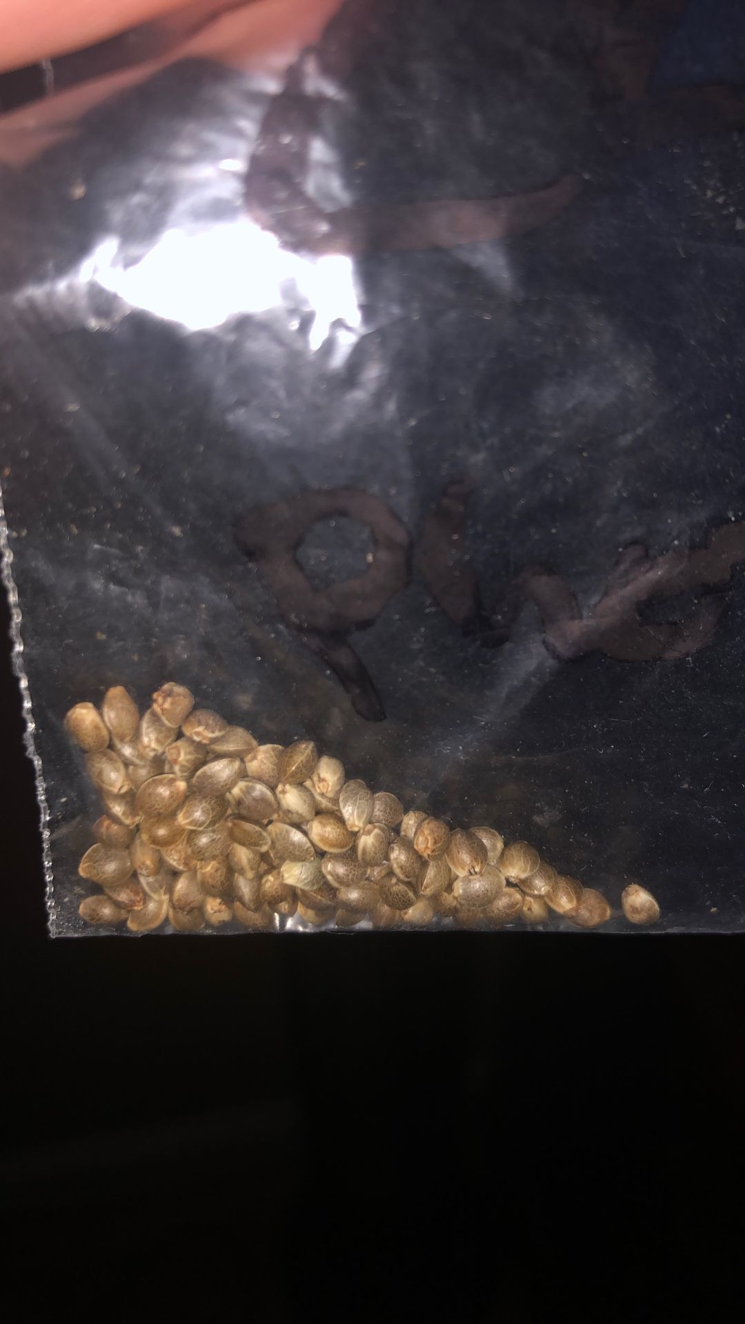 Feminized Seeds Variety