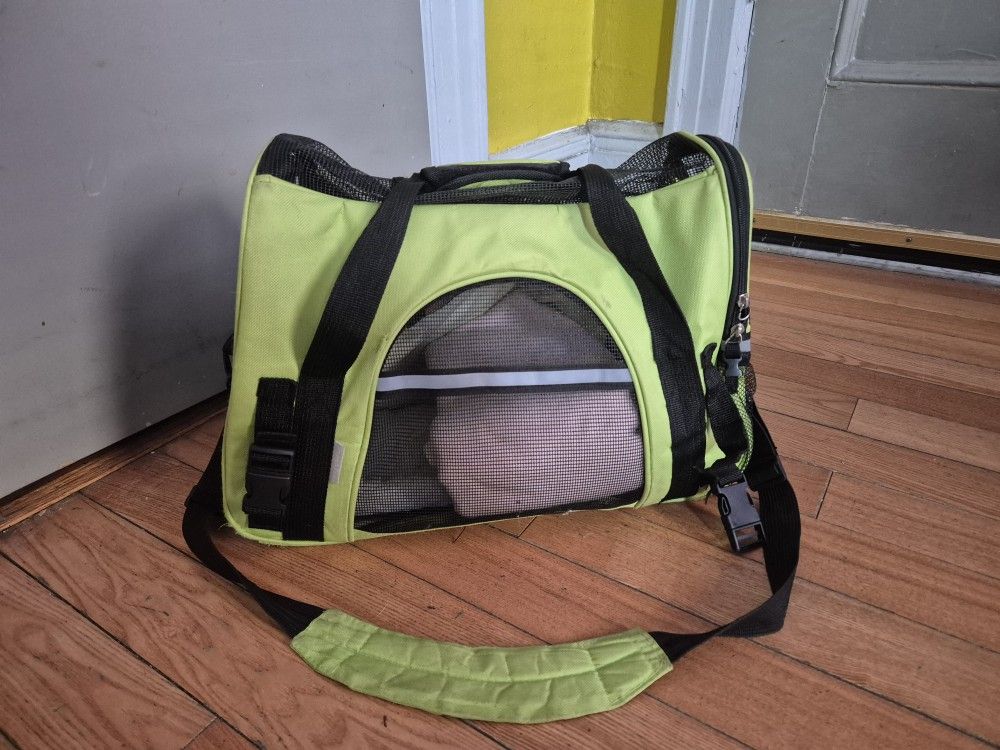 Green Pet Carrier Bag With Free Blanket
