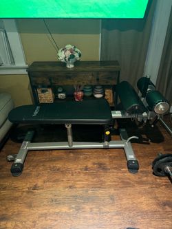 Workout bench & Olympic bar with weights