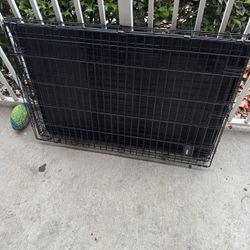 Large Dog Kennel
