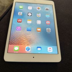 Apple Ipad Mini 1St Generation 32 Gig. 