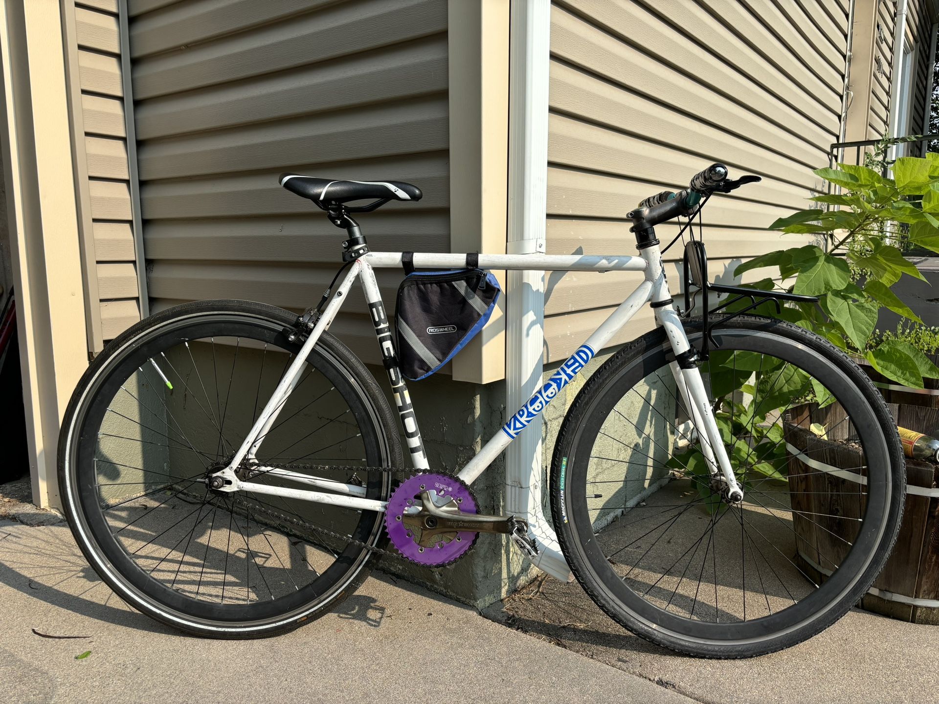 single speed / fixed gear bike
