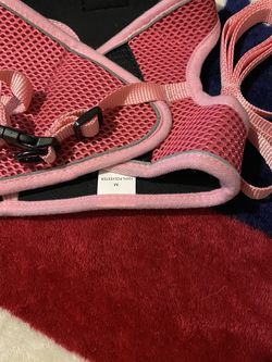 Dog Harness and leash