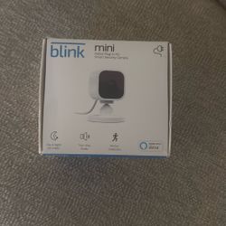Blink Mini