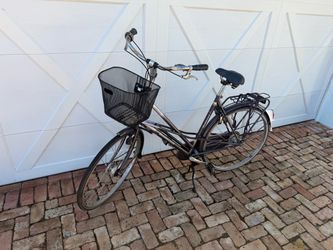 Original dutch bicycle (aka the dutch suv)