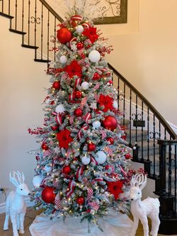 King of Christmas tree