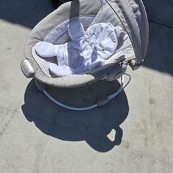Baby Bouncer 