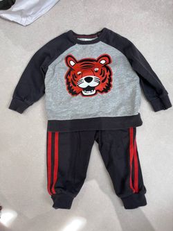 Toddler Tiger Graphic Sweatsuit Set