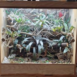 3x2x3 Reptile Enclosure (Custom)